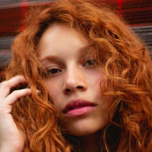 pexels-bruthethe-1958735